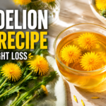 Dandelion tea recipe weight loss herbal drink in cup